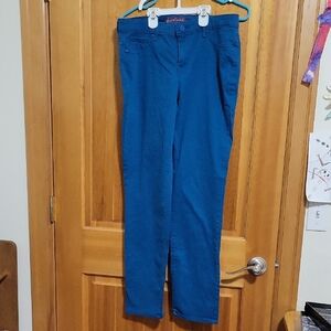 Women's Gloria Vanderbilt size 10 blue pants